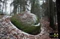 Findling 4 bei Haselberg nahe Wierzen in der Märkischen Schweiz, Brandenburg, (D) (5) 24. Januar 2016.JPG